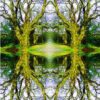 7e Sjamanistische dood  23/24 mei '24 12:00-12:00